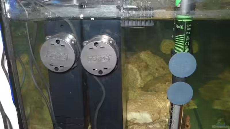 Technik im Aquarium Becken 14360 von tigger69 (21)