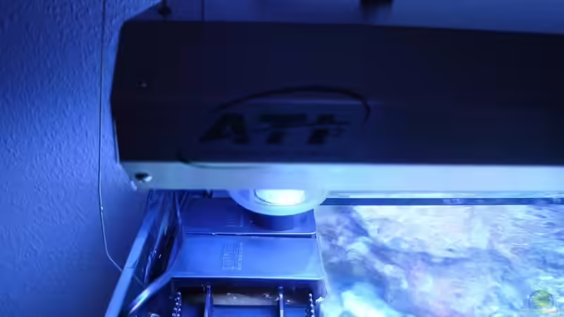 Technik im Aquarium Becken 14360 von tigger69 (23)