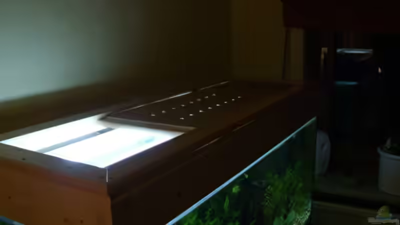 Technik im Aquarium Becken 14713 von Steve Gerecke (12)