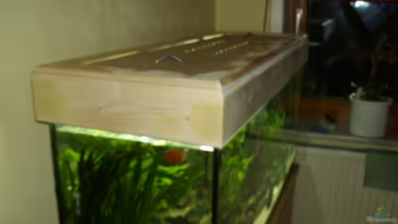 Technik im Aquarium Becken 14713 von Steve Gerecke (14)