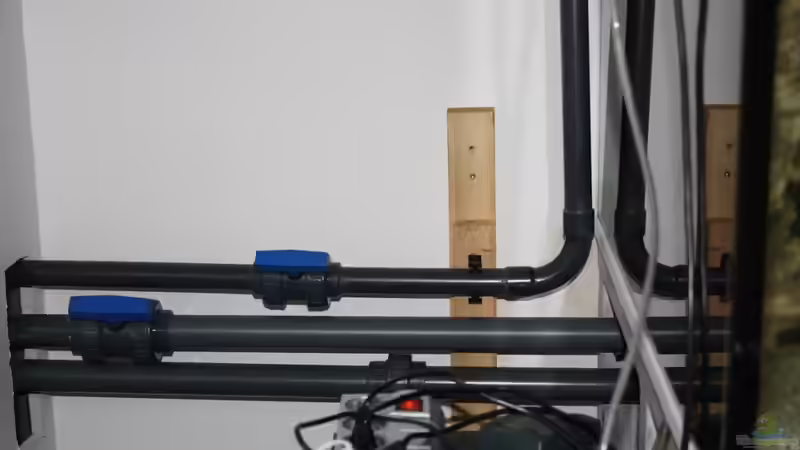 Technik im Aquarium Becken 14885 von Stephan Ascher (49)