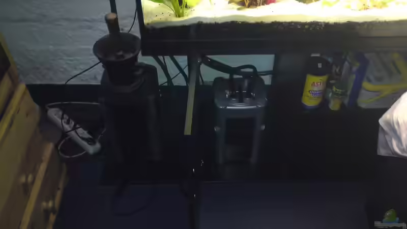 Technik im Aquarium Becken 15081 von Chris Krabbe (12)