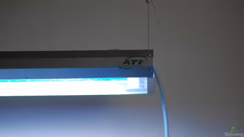 Technik im Aquarium Becken 15157 von Björns aqua (10)