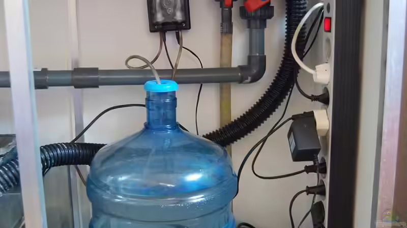 Technik im Aquarium Becken 15157 von Björns aqua (11)