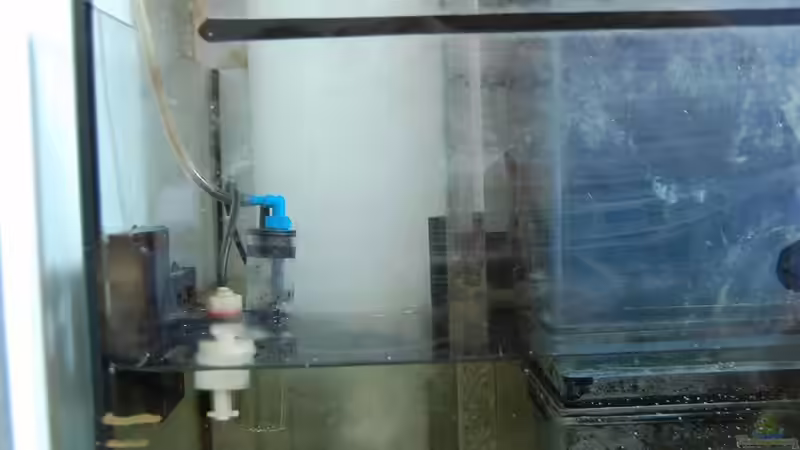 Technik im Aquarium Becken 15157 von Björns aqua (12)