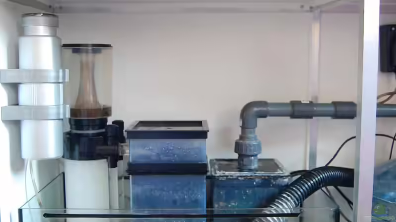 Technik im Aquarium Becken 15157 von Björns aqua (13)