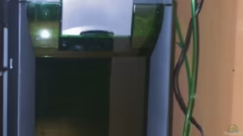 Technik im Aquarium Becken 15187 von Andreas Zollmann (9)