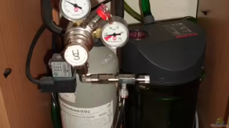 Technik im Aquarium Becken 15293 von rattenfreak (18)