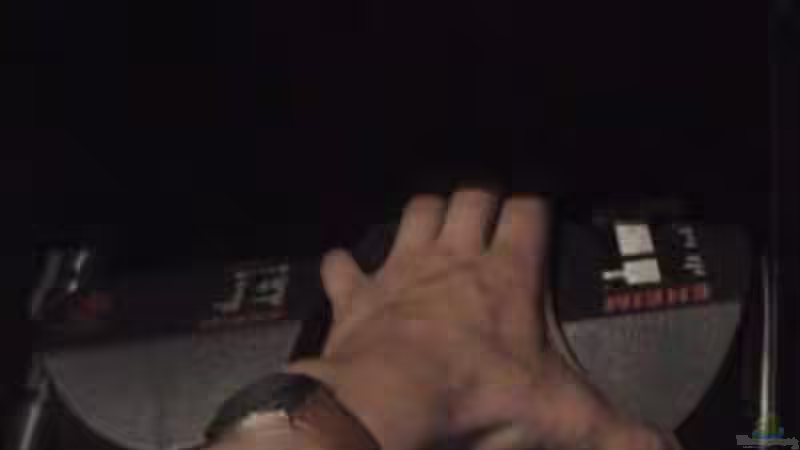 Technik im Aquarium Becken 1534 von Martin Grimm (21)