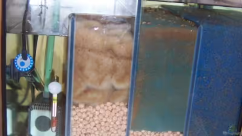 Technik im Aquarium Becken 1541 von Elena Miessbrandt (3)