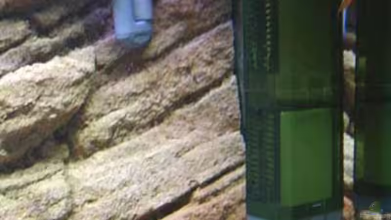 Technik im Aquarium Becken 1548 von Roland Meyer (9)