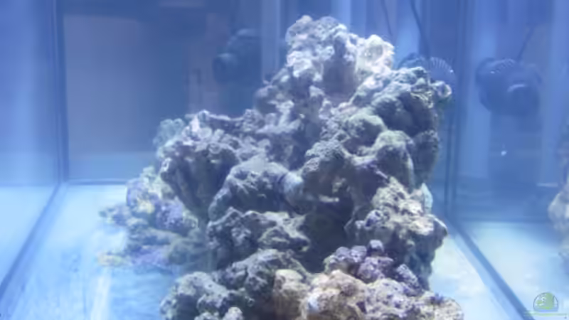 Technik im Aquarium Becken 15549 von water13 (14)