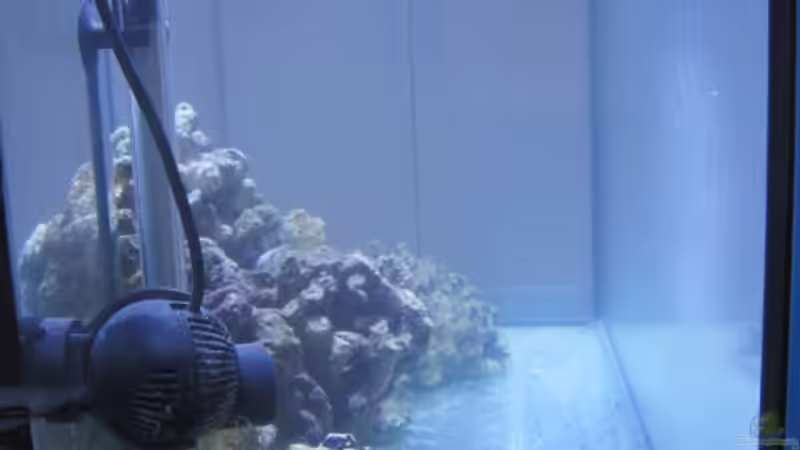 Technik im Aquarium Becken 15549 von water13 (15)