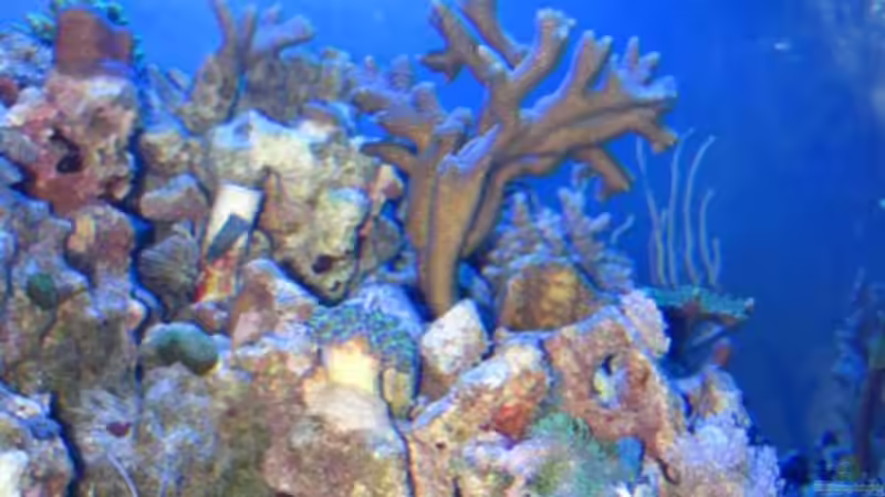 Technik im Aquarium Becken 15549 von water13 (19)