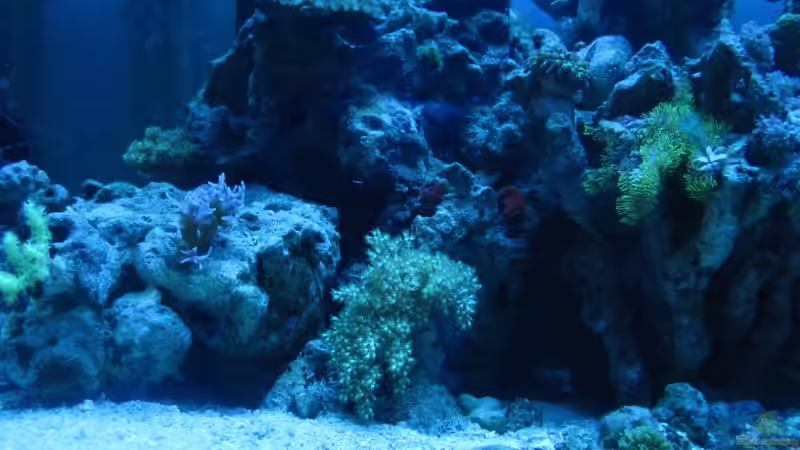 Technik im Aquarium Becken 15549 von water13 (21)