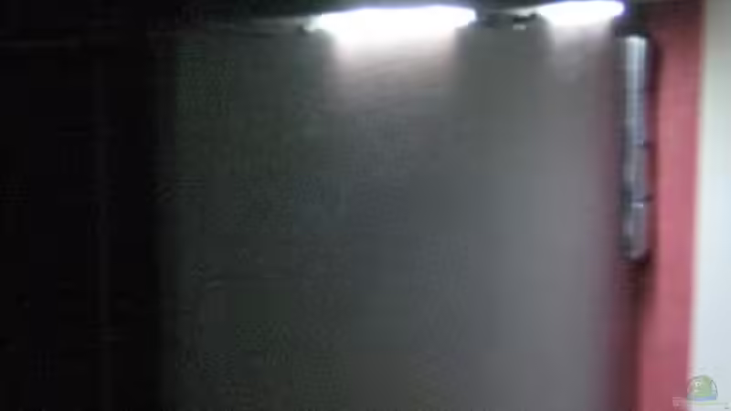 Technik im Aquarium Becken 15694 von Sebastian Kühne (13)