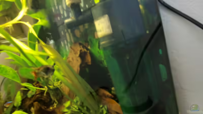 Technik im Aquarium Becken 15724 von 19maxi96 (13)