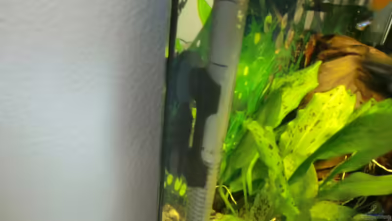 Technik im Aquarium Becken 15724 von 19maxi96 (14)