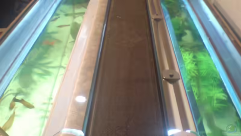 Technik im Aquarium Becken 15911 von Manuel Brandt (22)