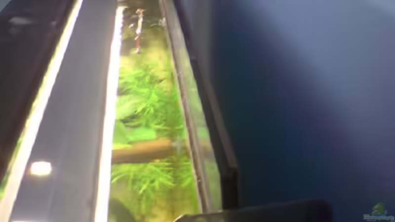 Technik im Aquarium Becken 15911 von Manuel Brandt (24)