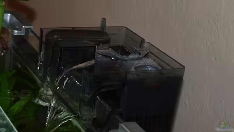 Technik im Aquarium Becken 15981 von Marion1705 (5)