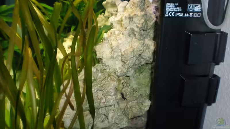 Technik im Aquarium Becken 16030 von icke68 (17)