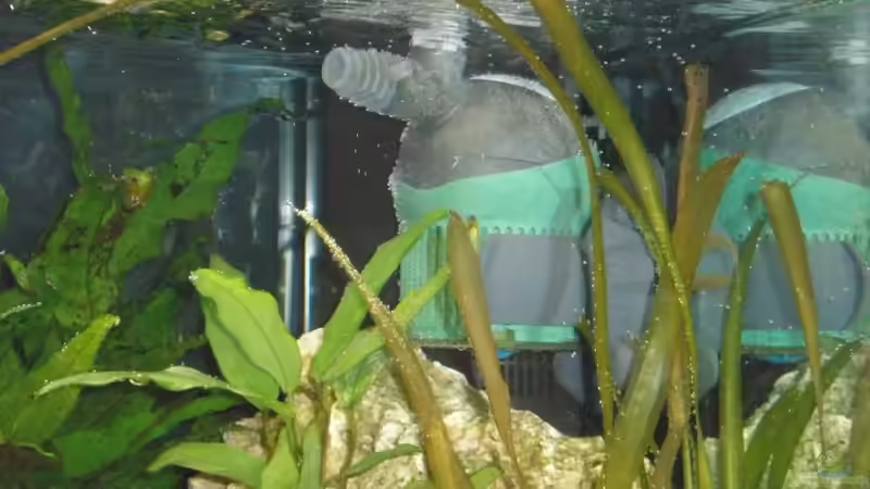 Technik im Aquarium Becken 16030 von icke68 (18)