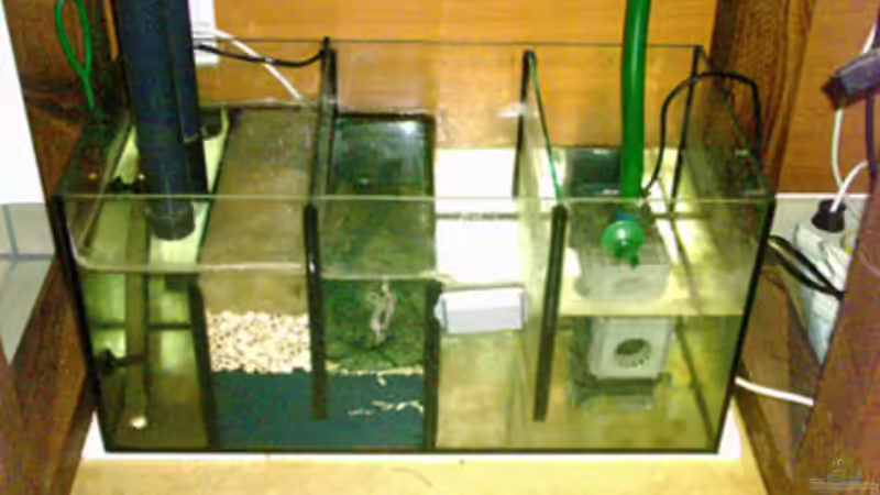 Technik im Aquarium Becken 1623 von Roland Weber (4)