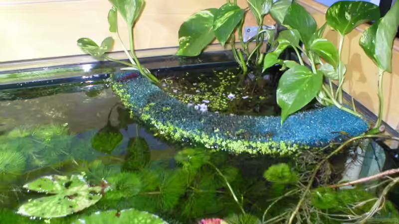 Technik im Aquarium Becken 1632 von Robin Bucksch (7)