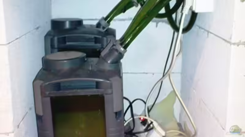 Technik im Aquarium Becken 16563 von Schloe (5)