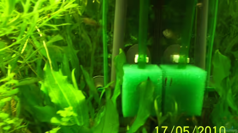 Technik im Aquarium Becken 16979 von Zeus (14)