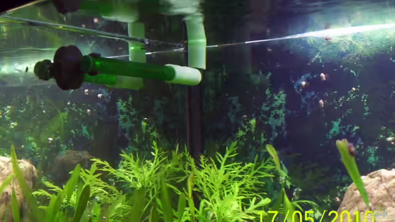 Technik im Aquarium Becken 16979 von Zeus (15)