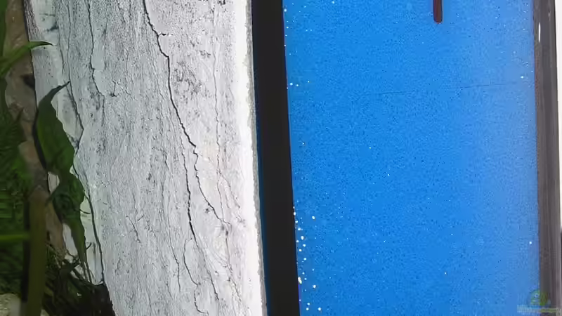 Technik im Aquarium Becken 16980 von Thomas Herbst (10)