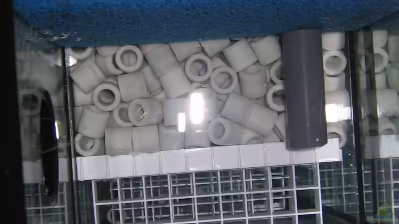 Technik im Aquarium Becken 16980 von Thomas Herbst (11)