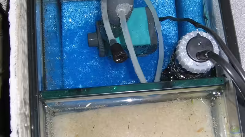 Technik im Aquarium Becken 16980 von Thomas Herbst (13)