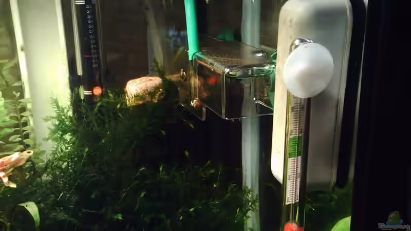 Technik im Aquarium Becken 17122 (Nur noch als Beispiel) von El Grande (8)