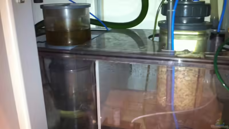 Technik im Aquarium Becken 17453 von Thomas Schuster (10)