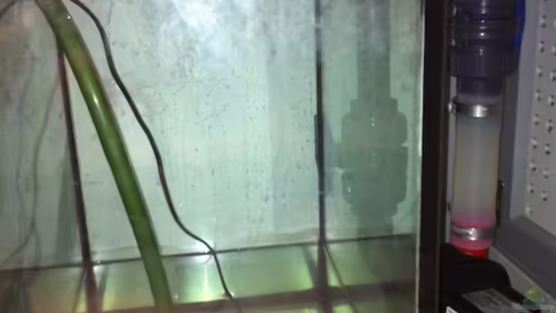 Technik im Aquarium Becken 17453 von Thomas Schuster (11)