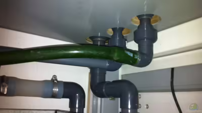 Technik im Aquarium Becken 17453 von Thomas Schuster (13)