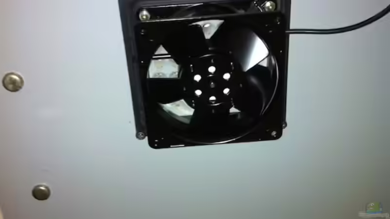 Technik im Aquarium Becken 17453 von Thomas Schuster (14)