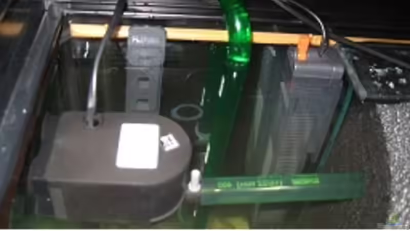 Technik im Aquarium Becken 17952 von MAGNUM (11)