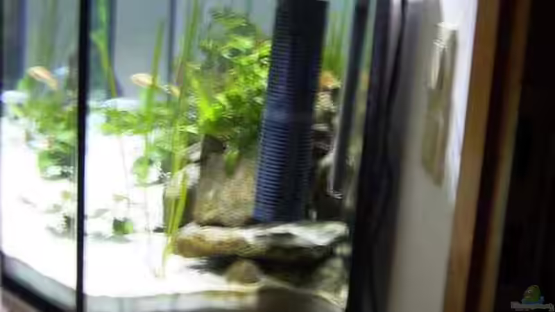 Technik im Aquarium Becken 1796 von Alexander Hrkalo (8)