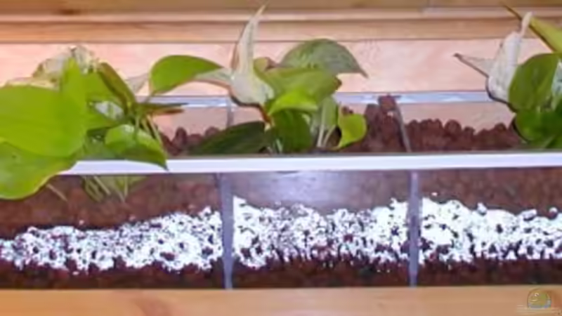 Technik im Aquarium Becken 180 von Stefan Henrich (6)