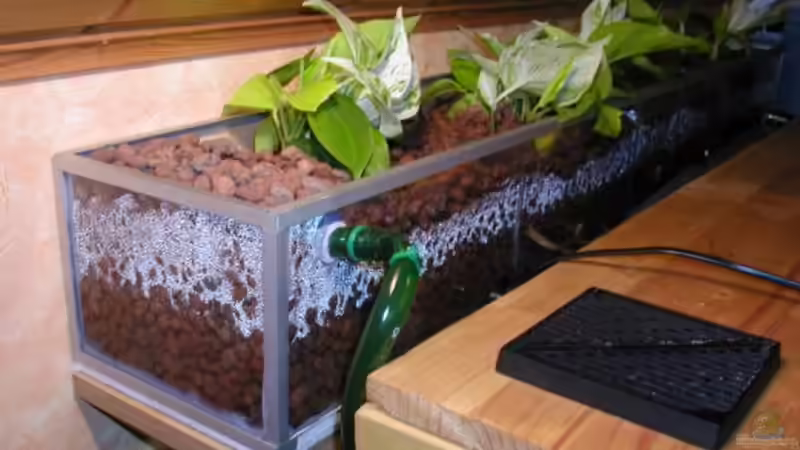 Technik im Aquarium Becken 180 von Stefan Henrich (7)