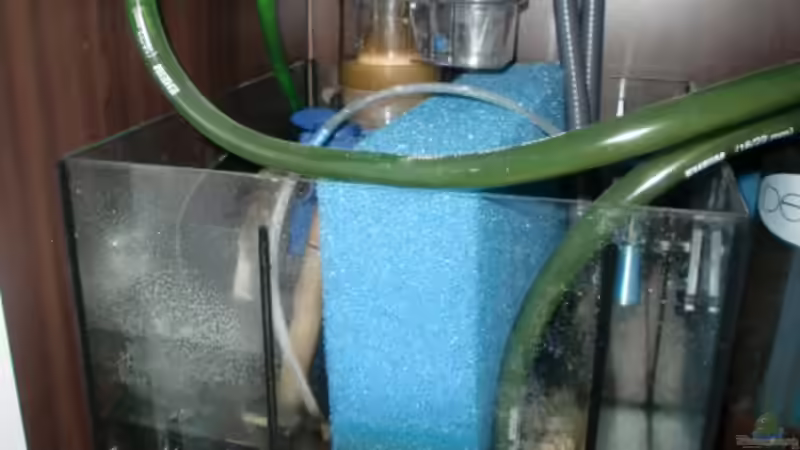 Technik im Aquarium Becken 18039 von dusdus (5)