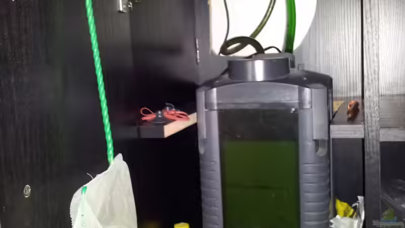 Technik im Aquarium Becken 18250 von Markusb (9)