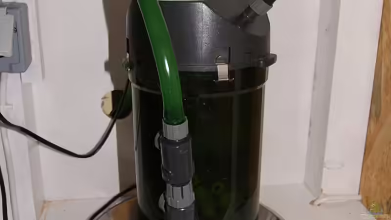 Technik im Aquarium Becken 18439 von Isabell Kölling (9)