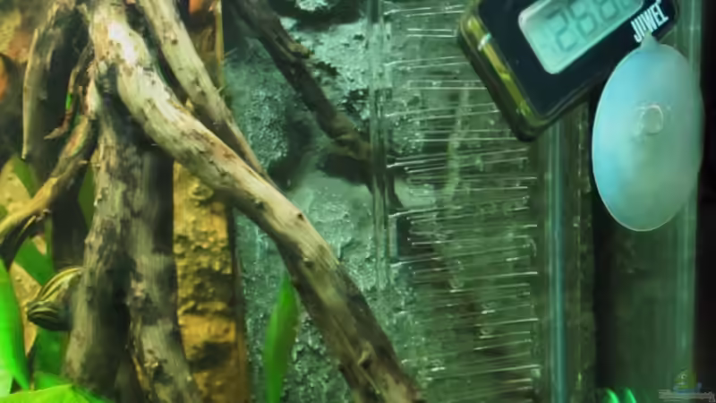 Technik im Aquarium Becken 18610 von Itsokay Matthäus (13)