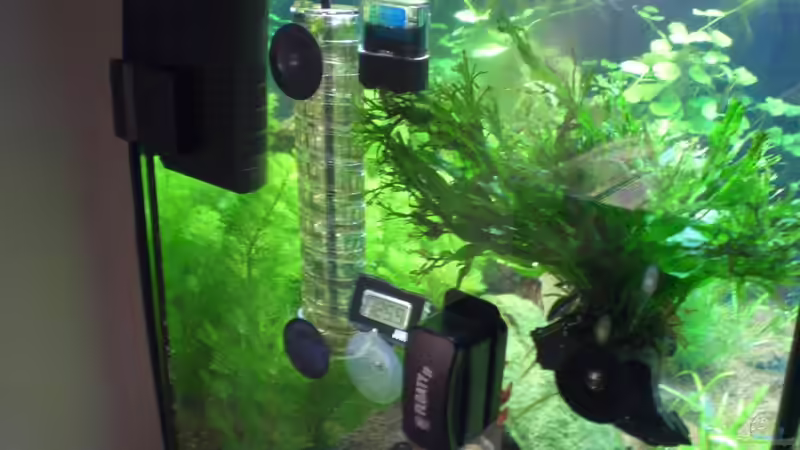 Technik im Aquarium Becken 19076 von Fitti (9)