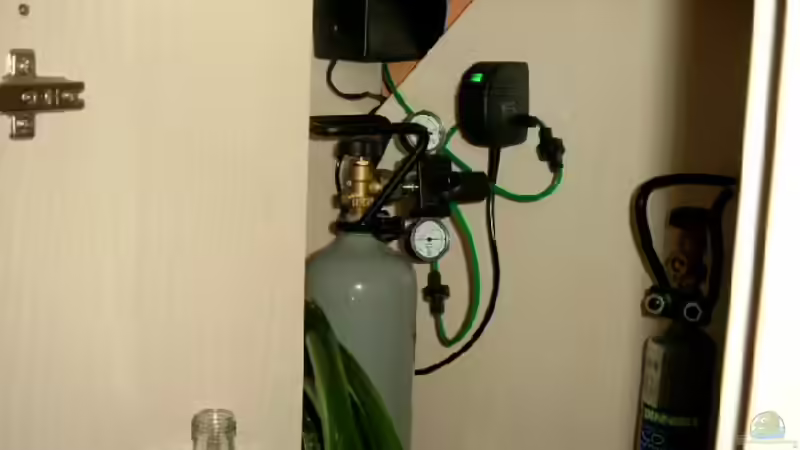 Technik im Aquarium Becken 1916 von Michael Grote (15)